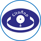 logo_lors_cito